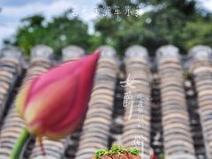 石炙澳洲牛小排-和木The Home·私厨(鼓楼店)