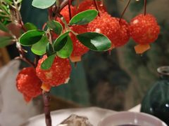 -奔跑吧陕菜·盛世长安(民乐园万达店)