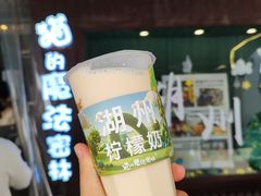 -猫的魔法密林(衣裳街店)