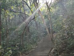 -高榜山景区