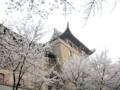 -武汉大学-樱园