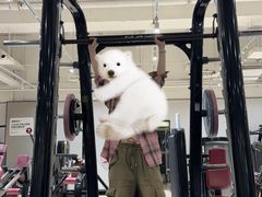 -FLARE STAR FITNESS(复地活力城店)