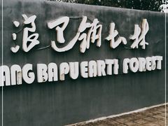 -元谋浪巴铺土林景区