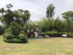 -上海崇明金茂凯悦酒店