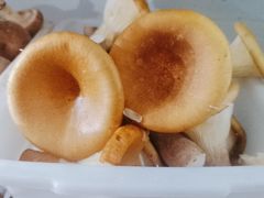 -畲乡一品鱼府土菜馆