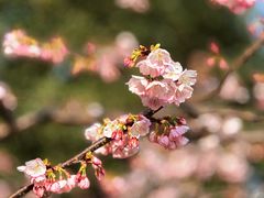 -静安雕塑公园