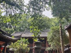 -灵谷景区
