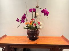 -芙蓉堂(武汉天地店)