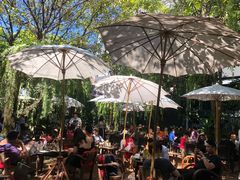 -Fern Forest Cafe