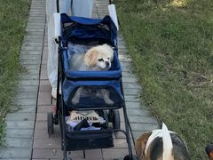 -派美特宠物医院·核磁CT·骨科肿瘤·疑难转诊(沈农禾丰店)