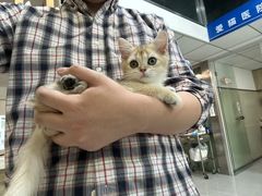 -纳吉亚猫专科动物医院(康都外科中心)