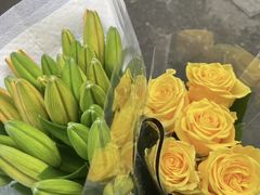 -循礼门鲜花花市(武汉循礼门店)