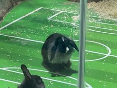 -海合安青岛极地海洋公园