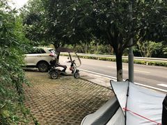 -铁山坪森林公园