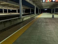 -深圳坪山站