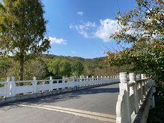 -羊山湖公园