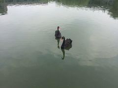 iphone_upload_pic-上海怡沁园度假酒店