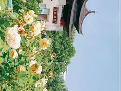 -莫愁湖公园
