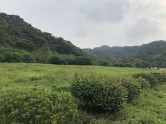 -幕燕滨江·长江观音景区