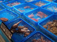 -御同亨酒楼·喜宴