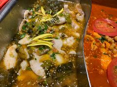 -舒来喜鱼锅(伊河路店)