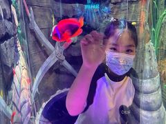 -沈阳海洋探索中心