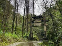 -凤栖山