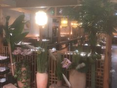 -探窝·竹笙椰子鸡(杨箕店)