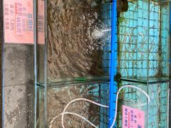 -荔城生鲜盛宴(番禺旗舰店)