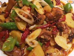 巴依大盘鸡-巴依老爷新疆美食(清华东门店)