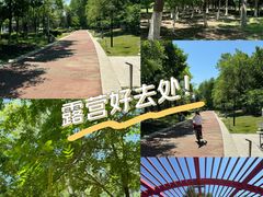 -莫子山公园