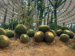 -白塘生态植物园