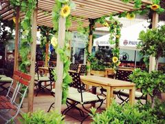 iphone_upload_pic-Paulaner·德国帕拉娜自酿啤酒餐厅(海上世界店)