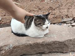 -清漾毛氏文化村