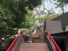 -香港大学