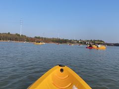 -上海海湾国家森林公园