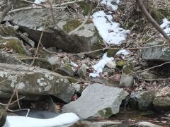 -洛阳白云山景区