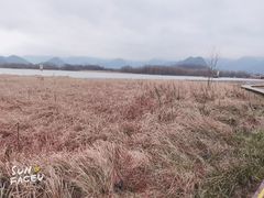 -大九湖