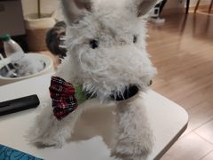 -泡泡玛特POPMART(龙湖杭州滨江天街店)