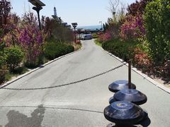 -青岛极地海洋世界-停车场