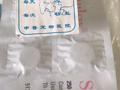 -申普宠物医院·心脏介入·心血管微创(总院)