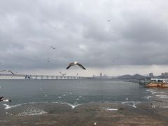 -星海广场