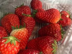 -鲜力达果品批发直销(青山店)