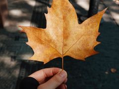 -鼓楼(西湖风景名胜区)