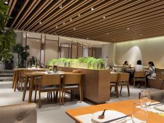 -青梅酒肆PLUS(长白仙岛北路店)