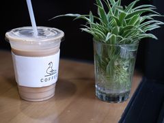 -野鸽子咖啡(中航店)