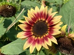 -奥林匹克森林公园北园-停车场