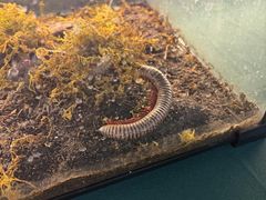 -万达广场(宜兴店)