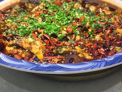 -新概念来凤鱼(璧山店)