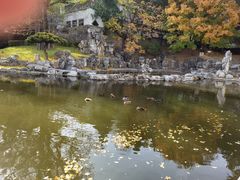 -香山公园